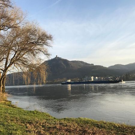 Ferienhaus Rheinperle Mit Garten In Remagen Am Rhein - Naehe Bonnヴィラ エクステリア 写真