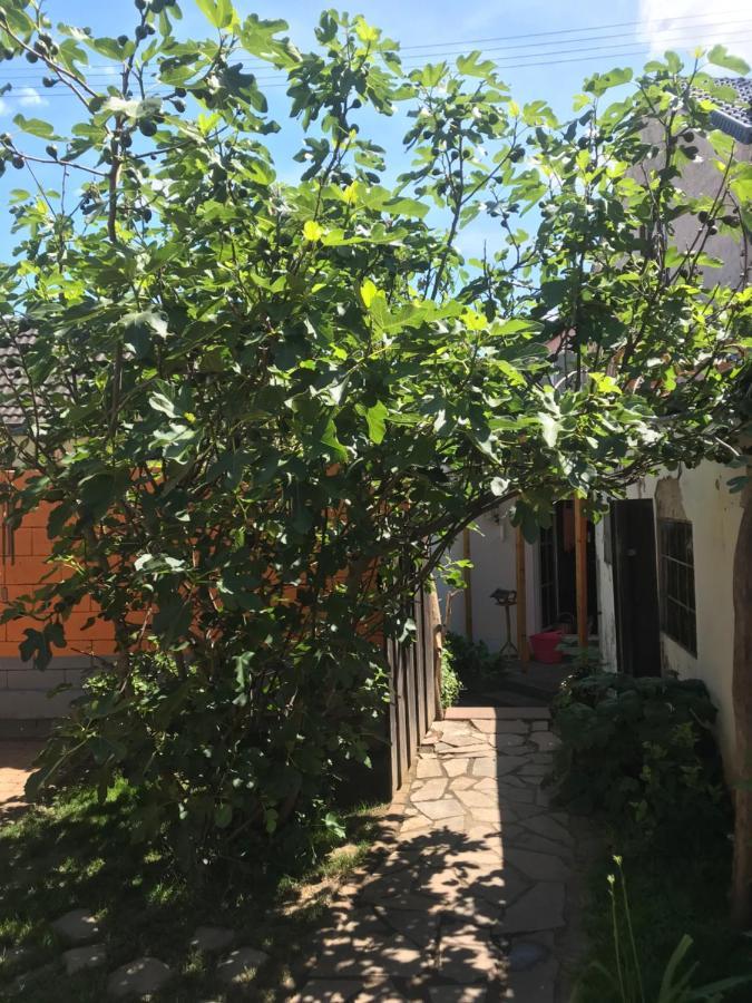 Ferienhaus Rheinperle Mit Garten In Remagen Am Rhein - Naehe Bonnヴィラ エクステリア 写真
