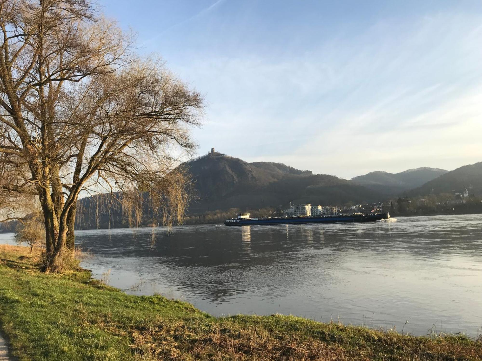Ferienhaus Rheinperle Mit Garten In Remagen Am Rhein - Naehe Bonnヴィラ エクステリア 写真