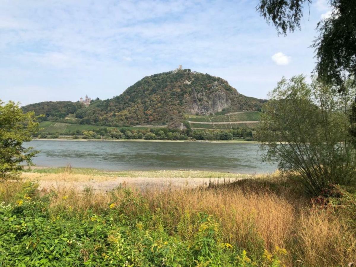 Ferienhaus Rheinperle Mit Garten In Remagen Am Rhein - Naehe Bonnヴィラ エクステリア 写真